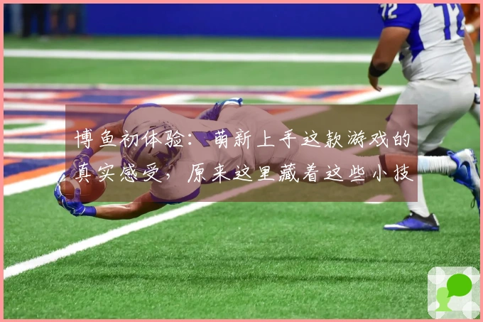 博鱼初体验：萌新上手这款游戏的真实感受，原来这里藏着这些小技巧！