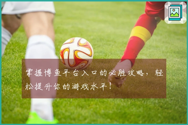 掌握博鱼平台入口的必胜攻略，轻松提升你的游戏水平！