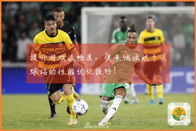 提升游戏流畅度，快来试试这个买球站的性能优化技巧！