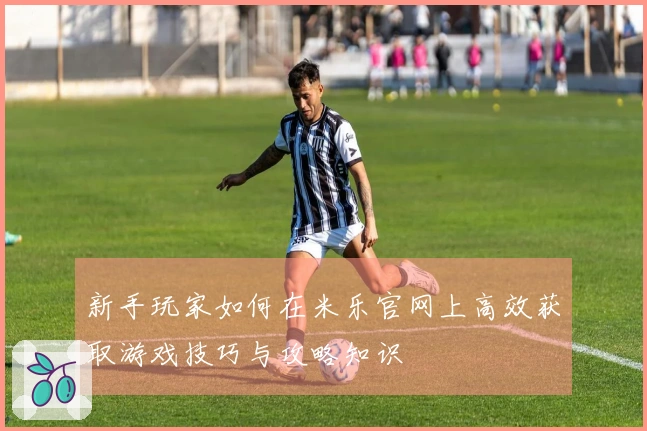 新手玩家如何在米乐官网上高效获取游戏技巧与攻略知识